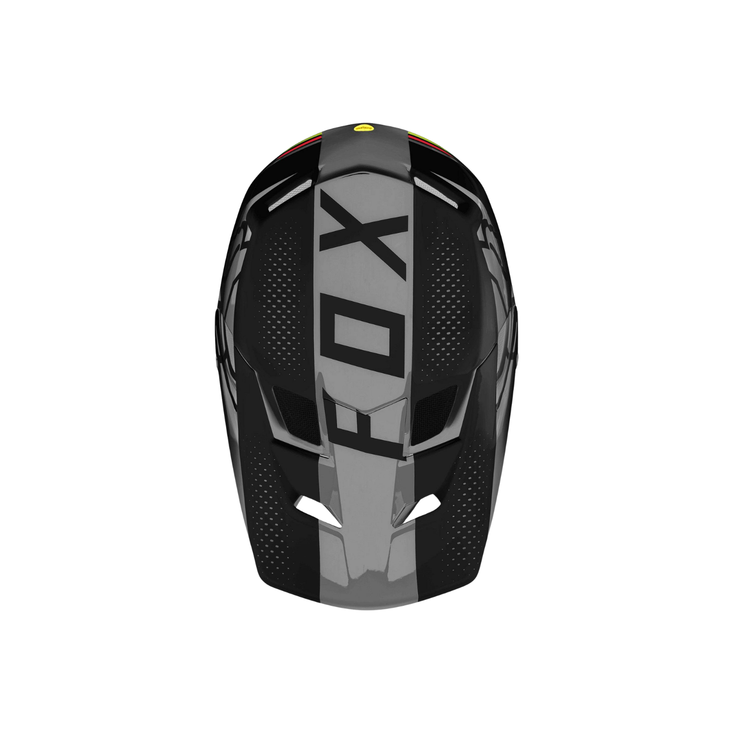 Fox Rampage Comp Dirtsurfer Full Face Helmet