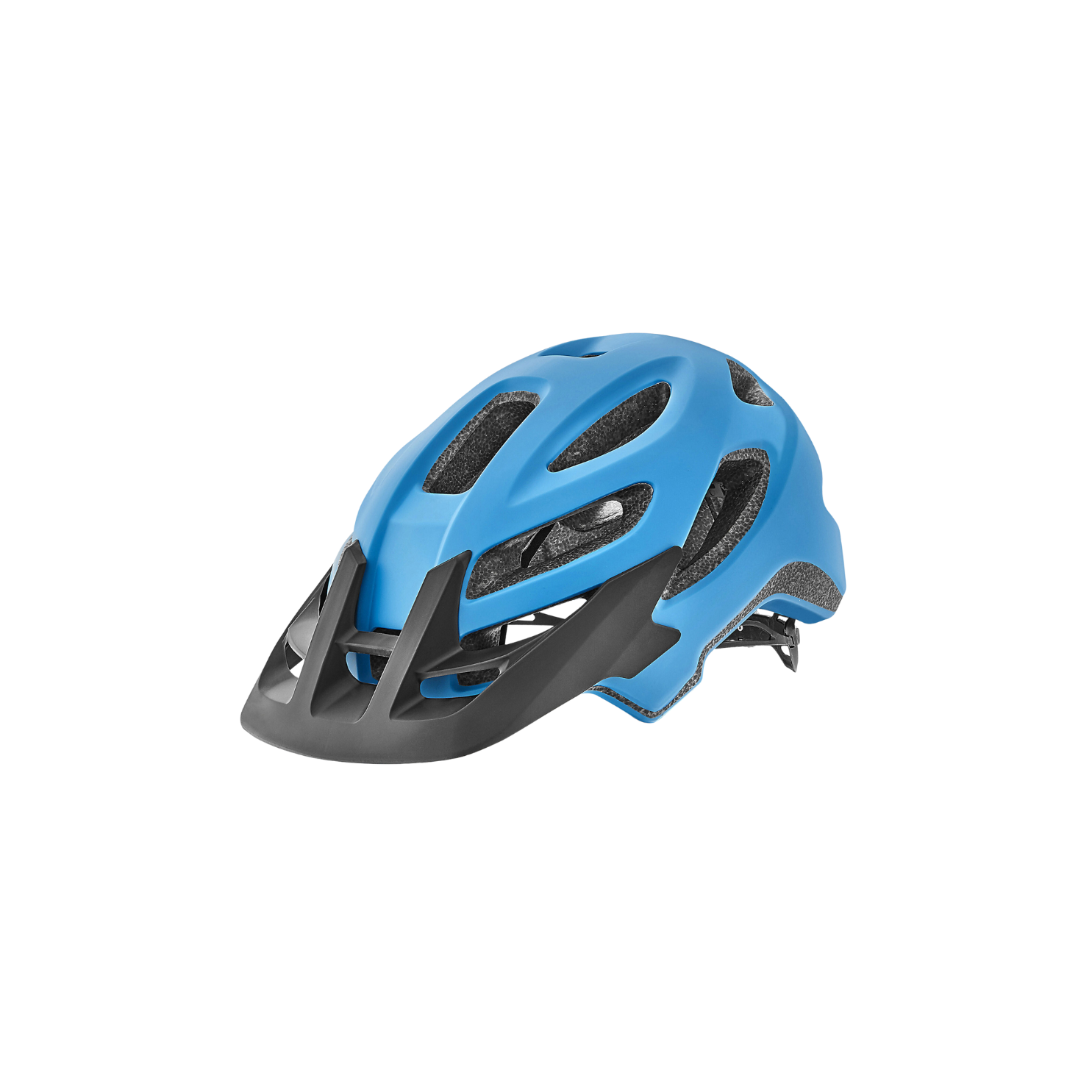 Giant Roost Helmet - Matte Blue