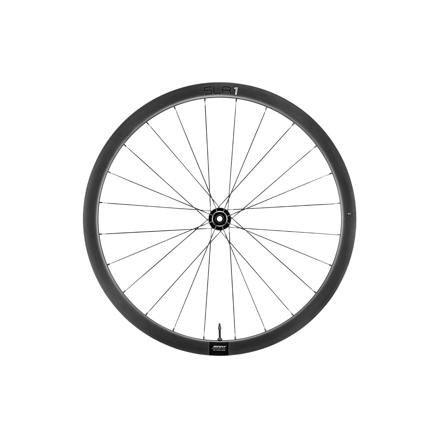 Giant SLR1 36 Tubeless Disc Brake Wheelset – CCACHE