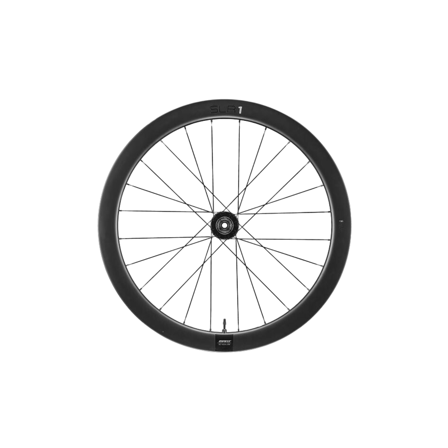 Giant SLR 50 Disc Wheelset – CCACHE - Main Image