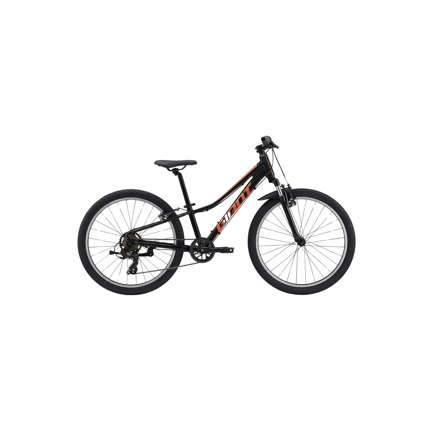 Giant Talon 24 Panther – CCACHE