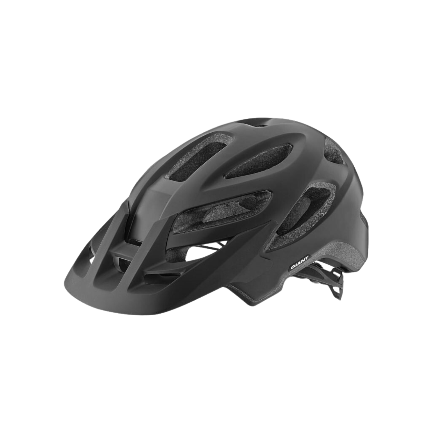 Giant Visor Roost/Coveta - Black