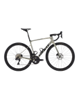 Giant Defy Advanced SL 1 - 金色雾霾/豹纹