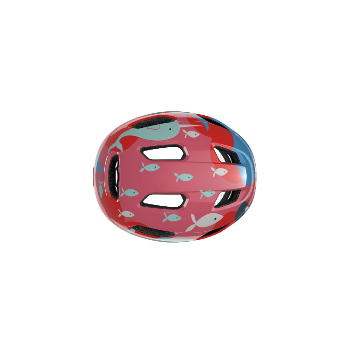 Lazer Pnut Kc 海洋生物 均码