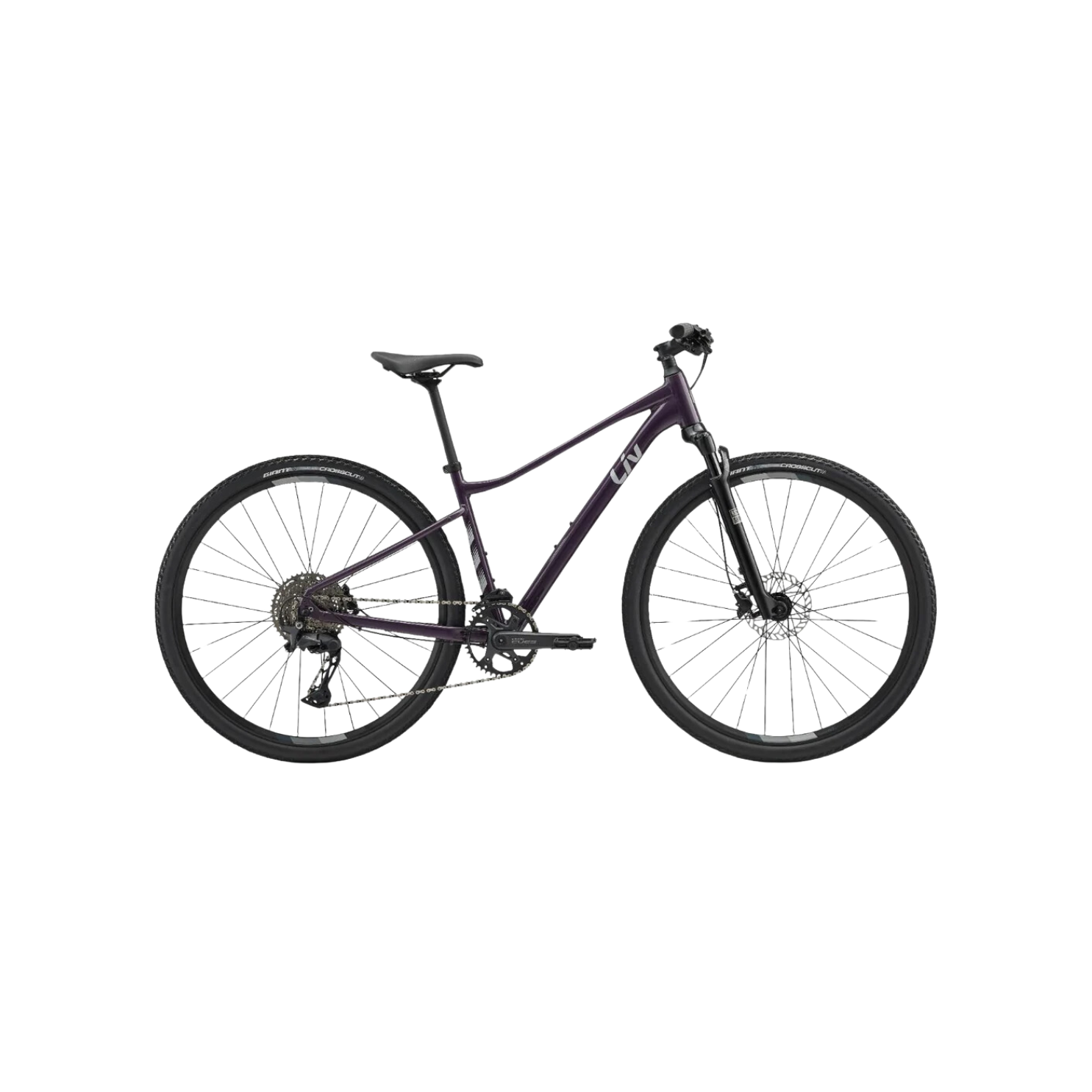 Liv Rove 1 Tyrian Purple CCACHE