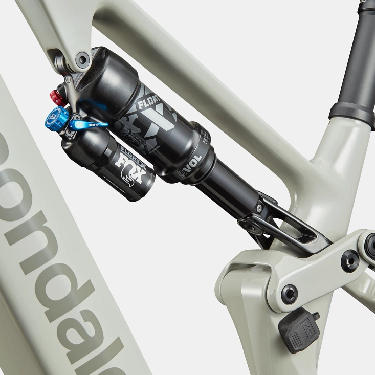Cannondale fox 2024