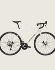 Cannondale Synapse 1 - Cashmere