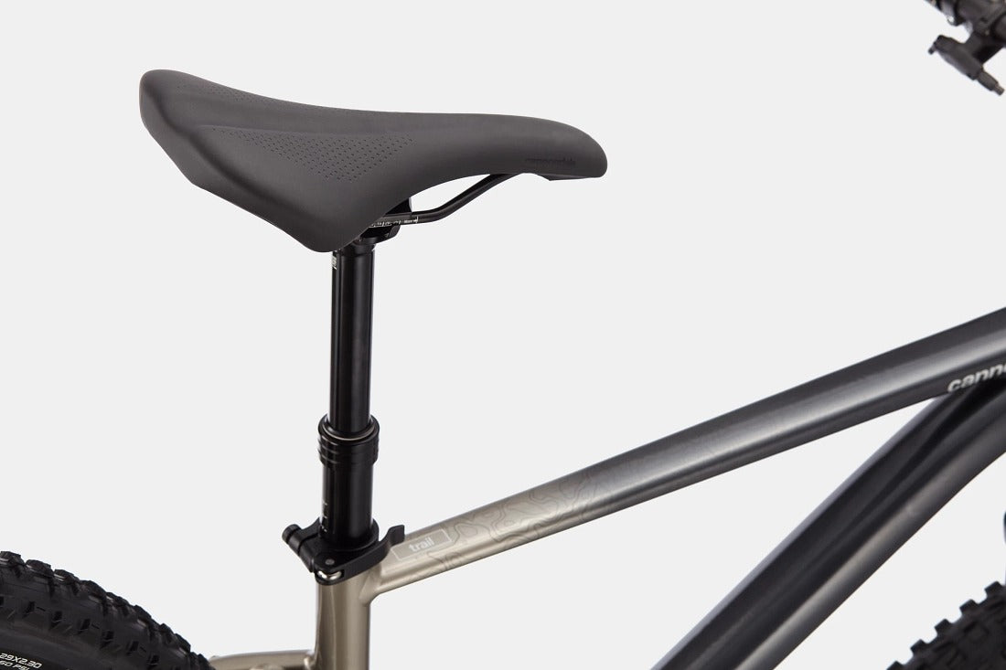 Cannondale Trail SE 1 山地自行车 - 流星灰色