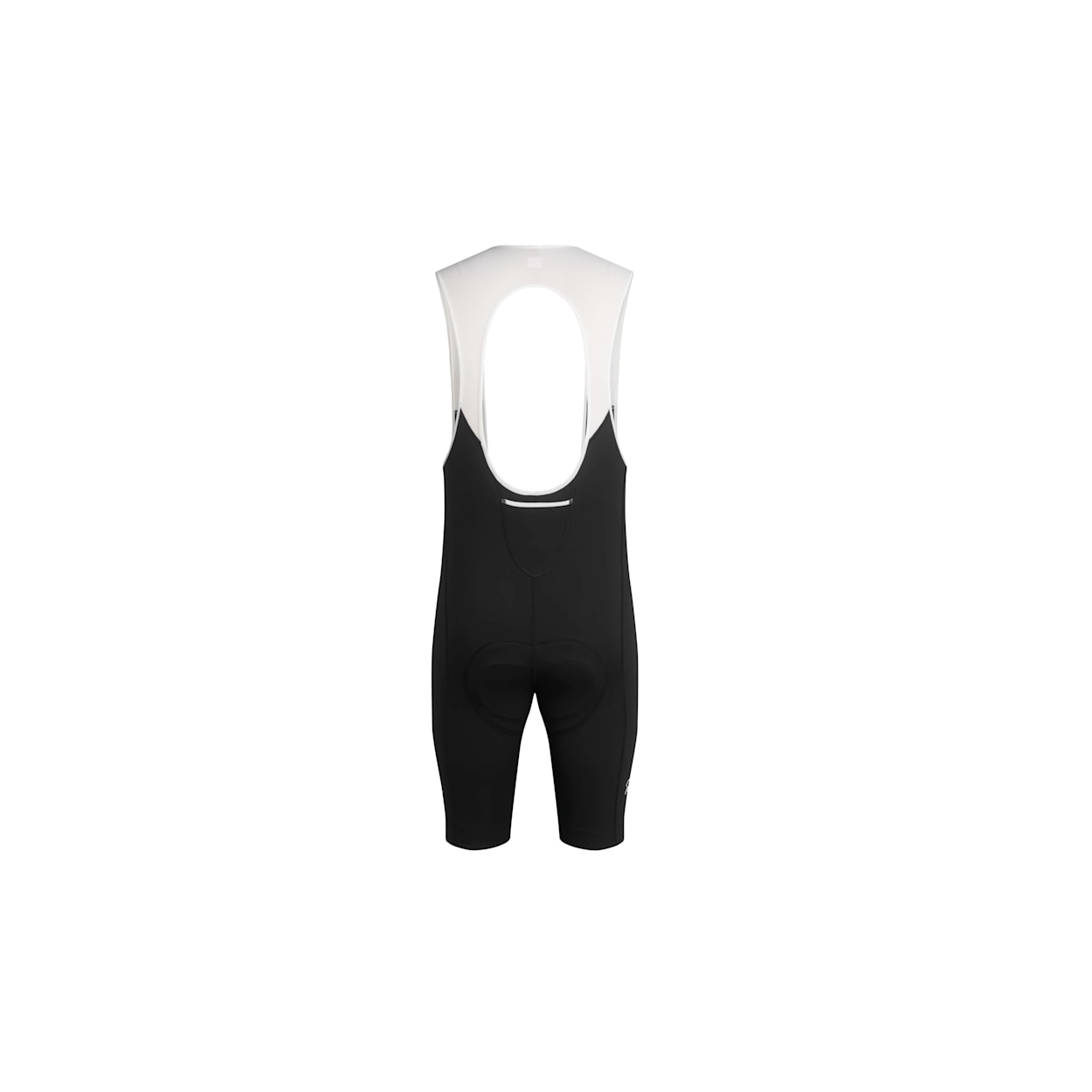 Rapha classic bib online