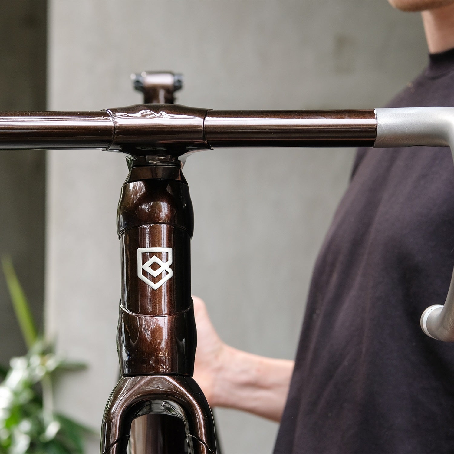 Bastion frameset sale