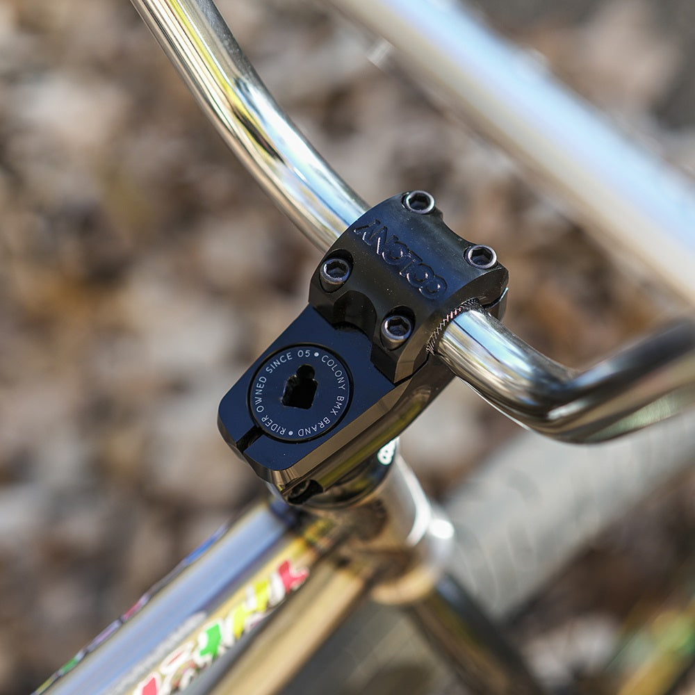 Colony squareback hot sale stem