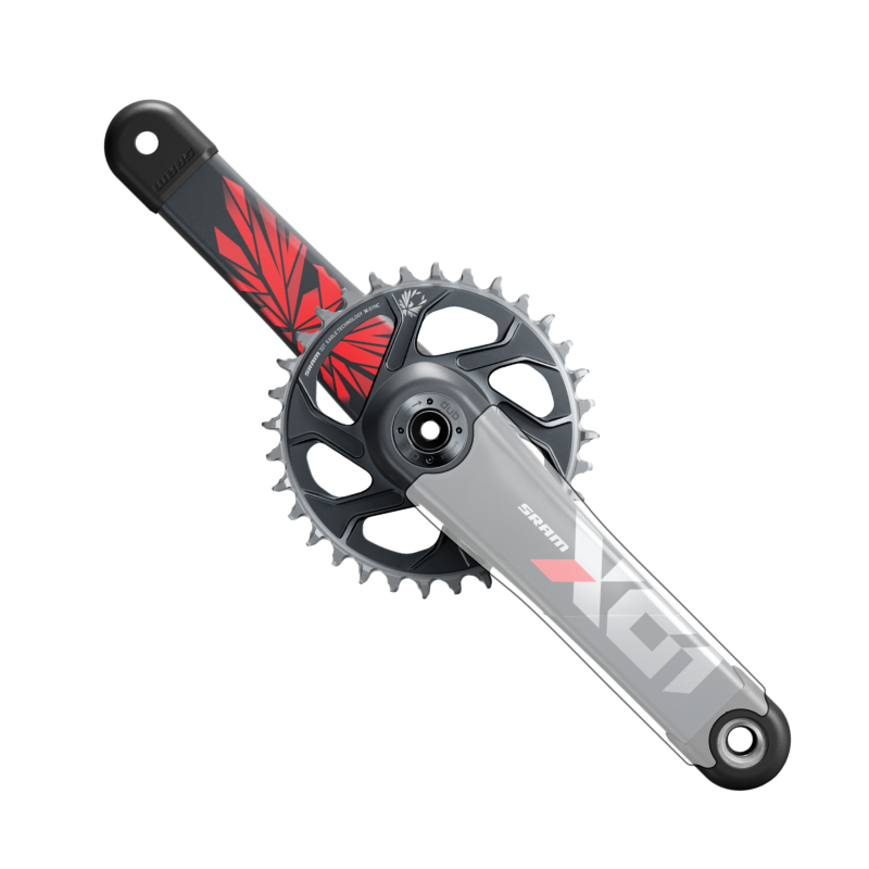 Sram xx1 crank protector 2025