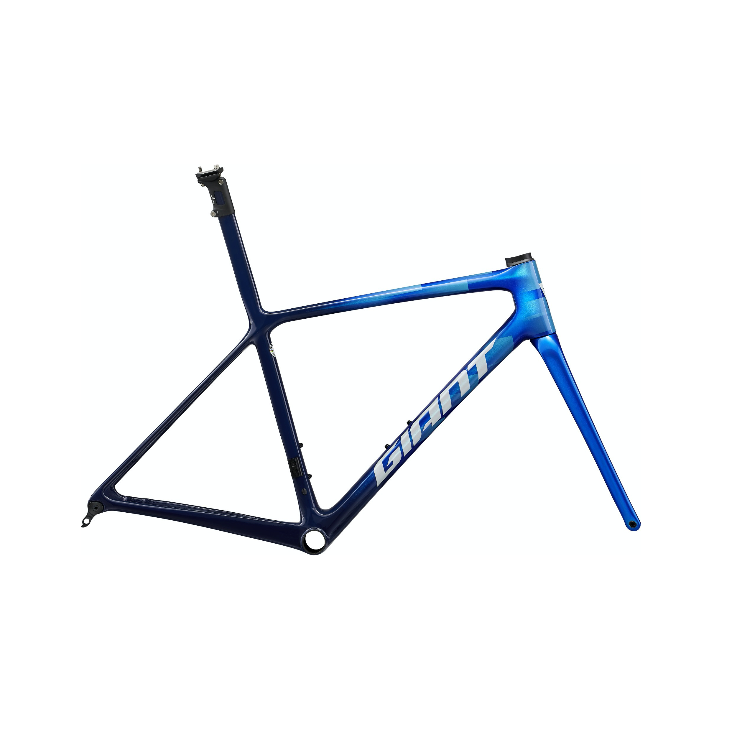 Giant online tcr l