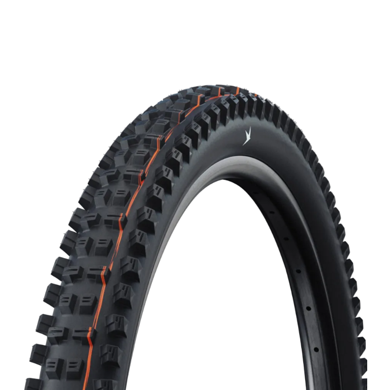 Schwalbe Tacky Chan Gravity Soft 29" TLR MTB Tyre - Black