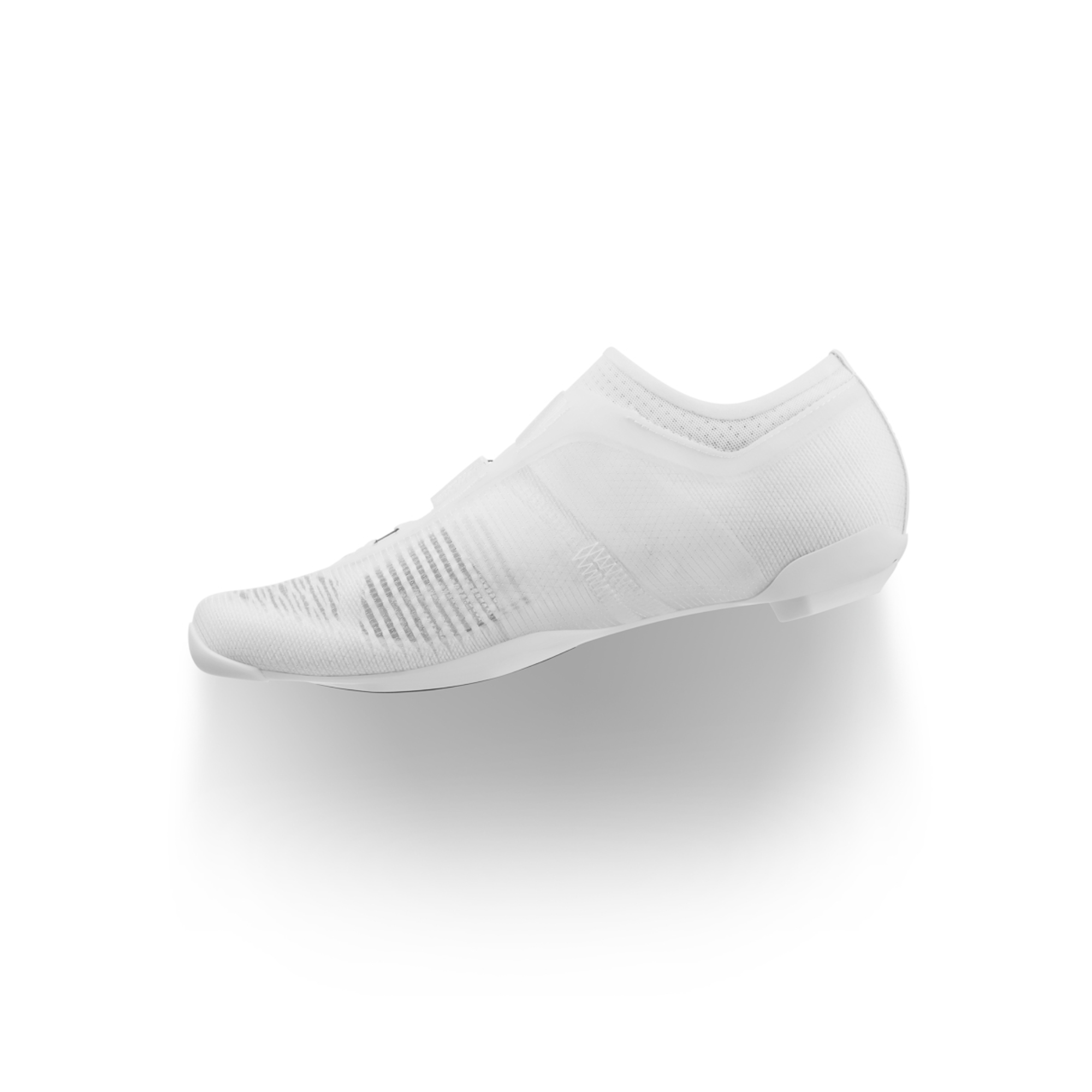 Fizik Vega 碳纤维 - 白色