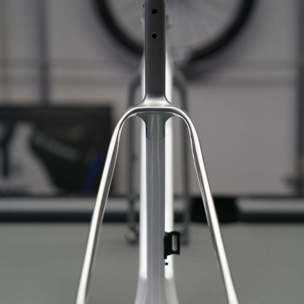 Spect Mira Frameset - Mercury Silver