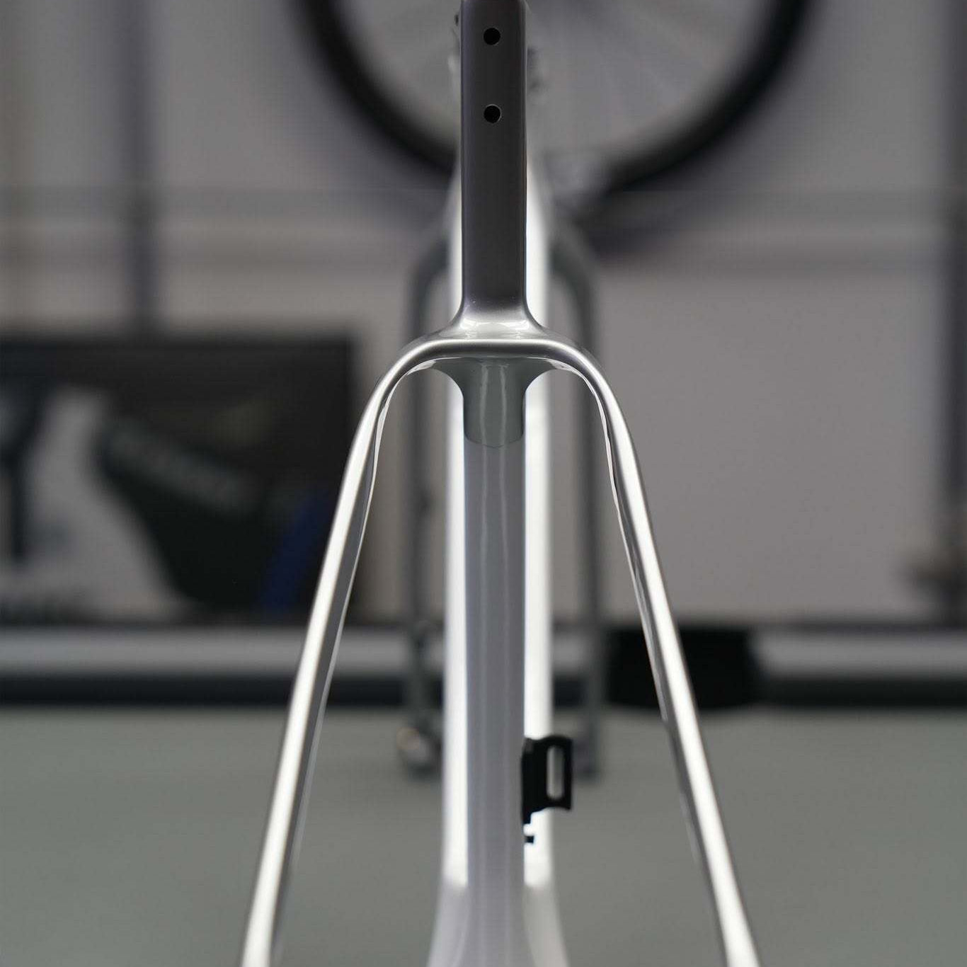 Spect Mira Frameset - Mercury Silver