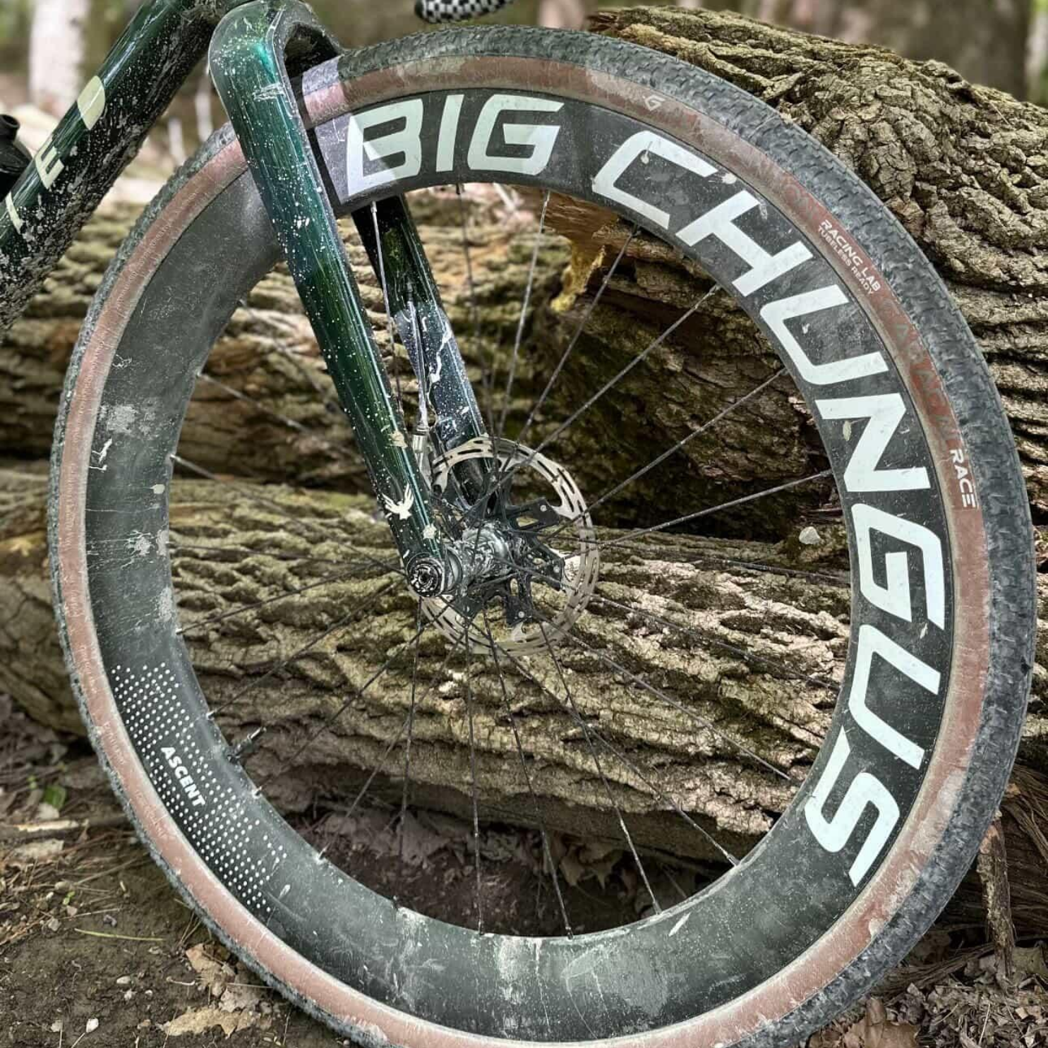 Ascent Big Chungus Gravel Race Wheels
