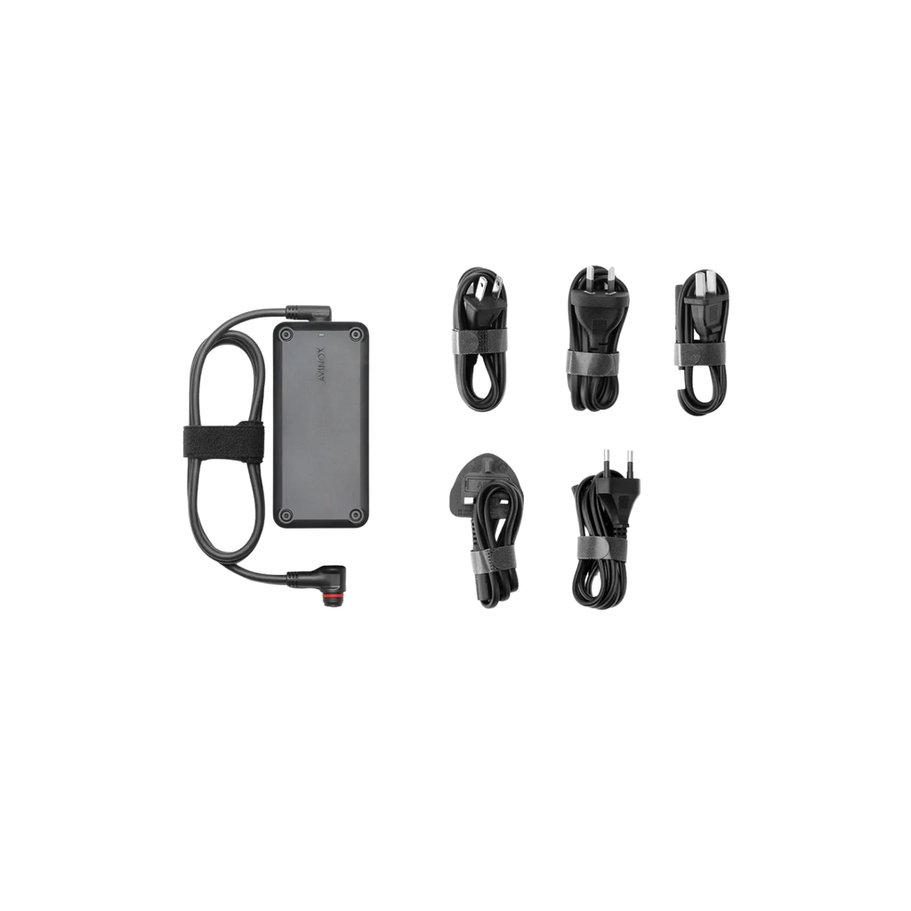 Avinox 4A Charger