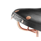 Brooks B17 Special Saddle - Black