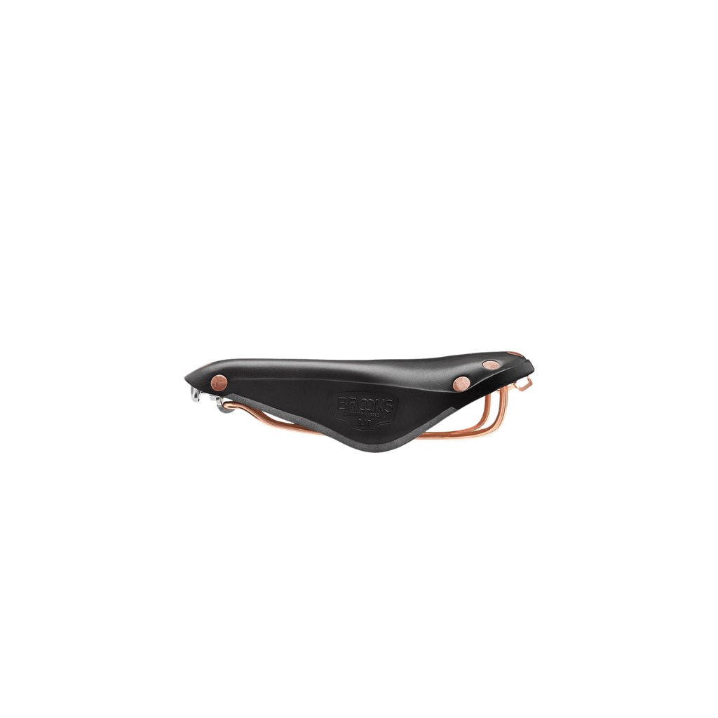 Brooks B17 Special Saddle - Black