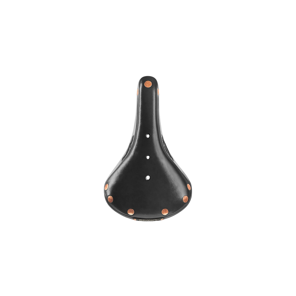 Brooks B17 Special Saddle - Black
