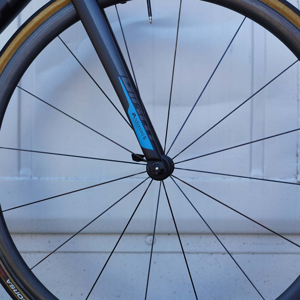 Preloved / Giant TCR Advanced SL Rim Brake - M