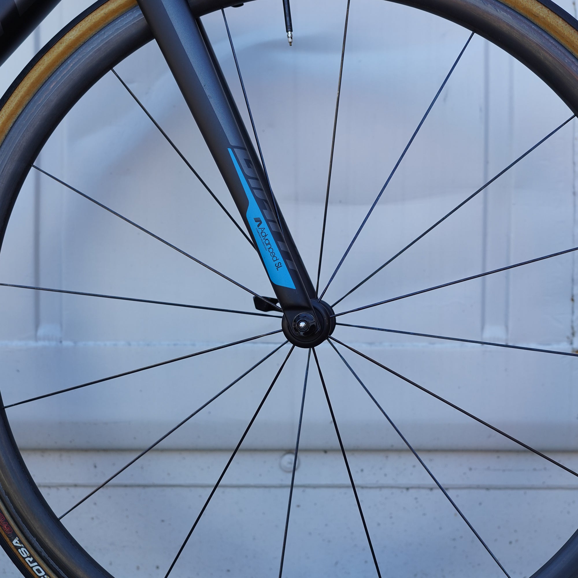 Preloved / Giant TCR Advanced SL Rim Brake - M