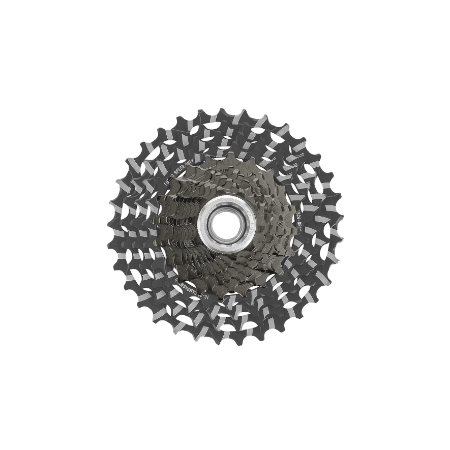 Campagnolo Record 13s Cassette