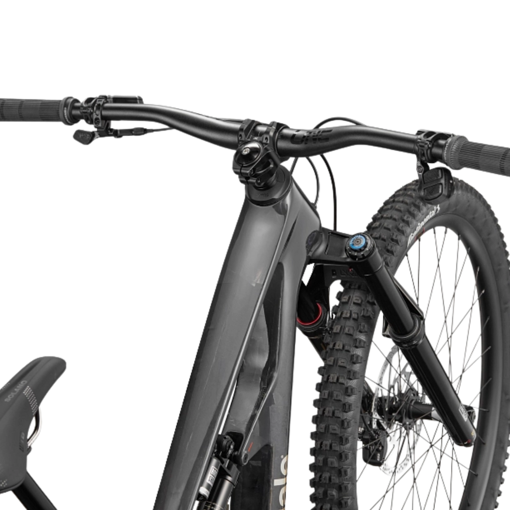 Cannondale Bad Habit 1 - Raw