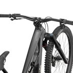 Cannondale Bad Habit 1 - Raw