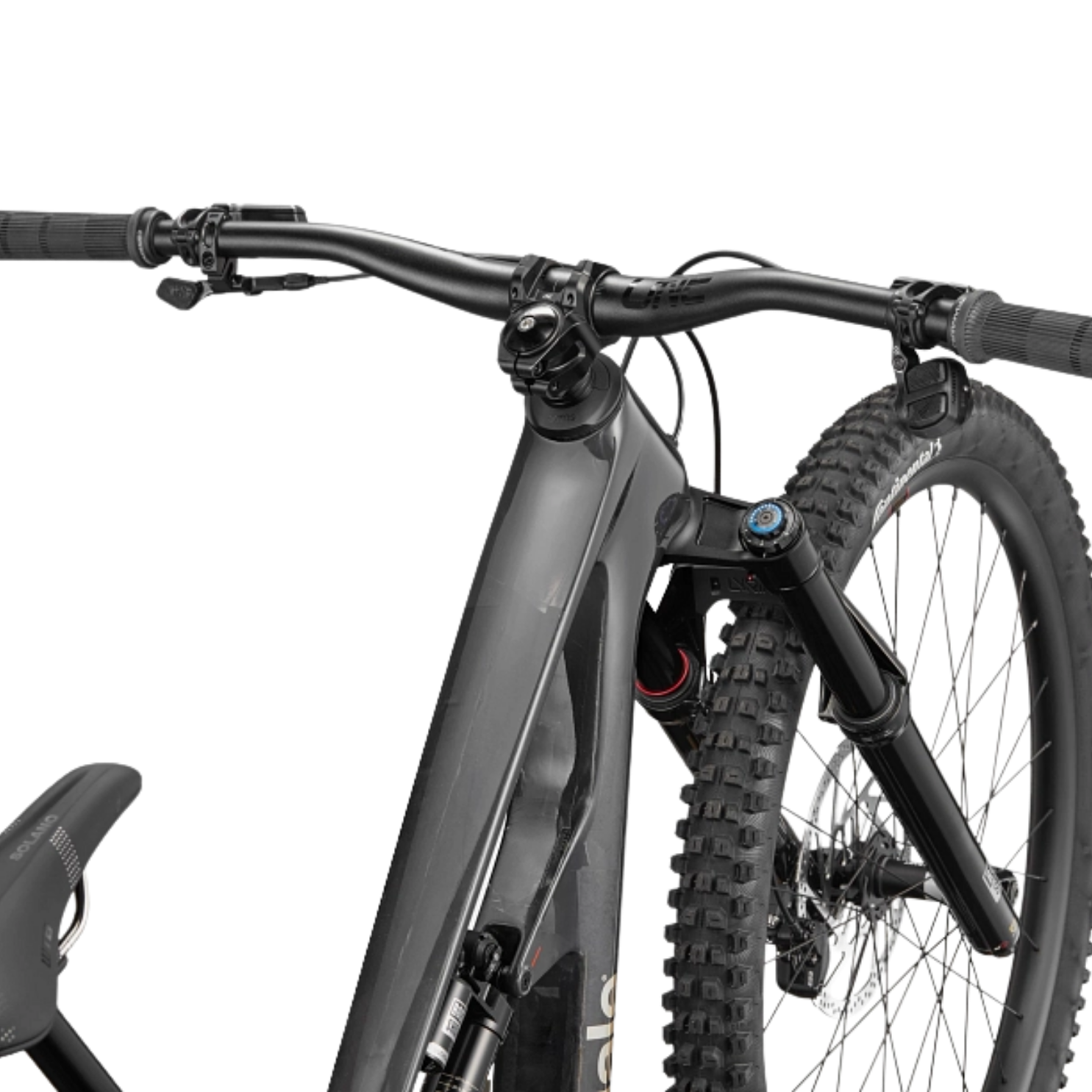 Cannondale Bad Habit 1 - Raw