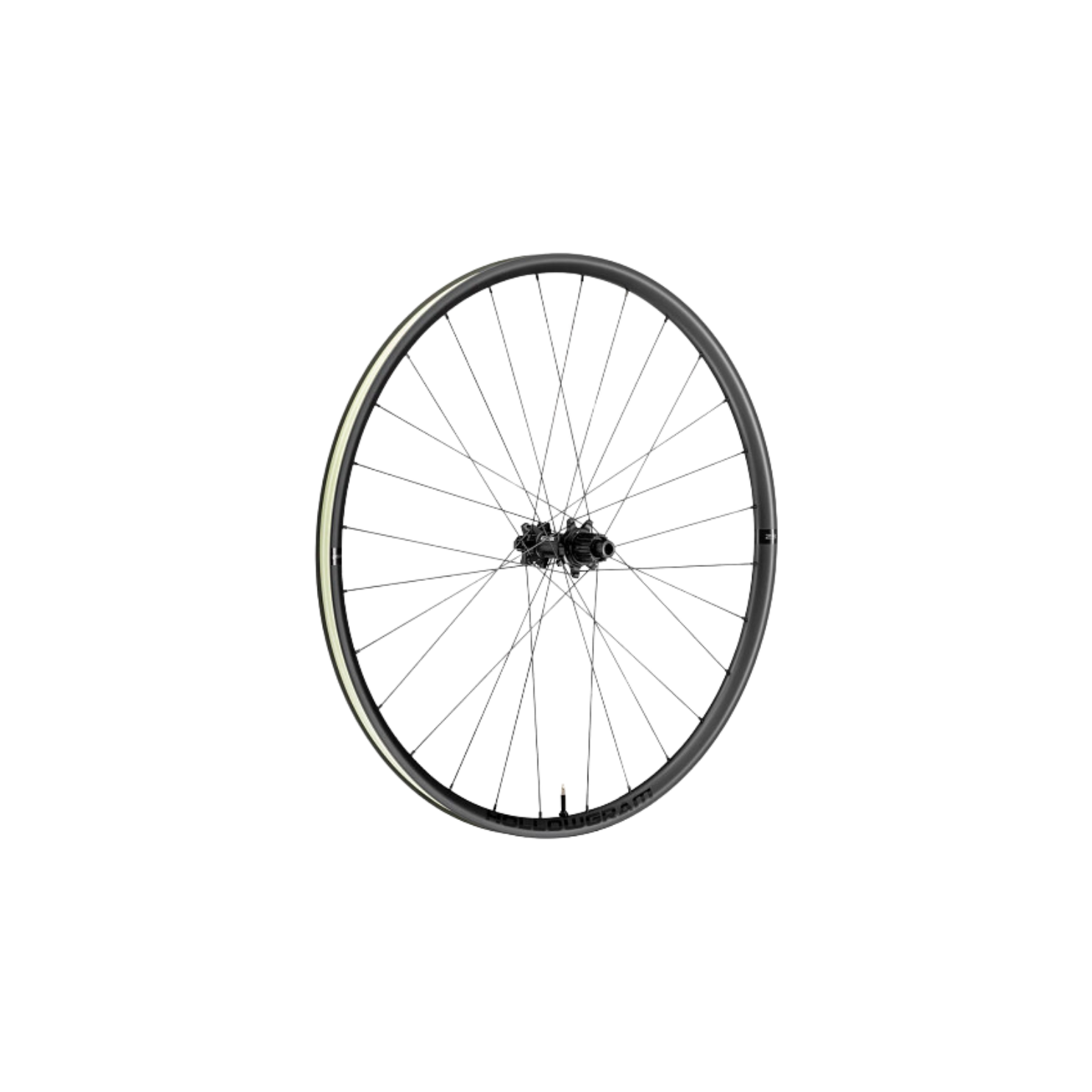 Cannondale HG SL 23 28h Disc Rim BLK 29