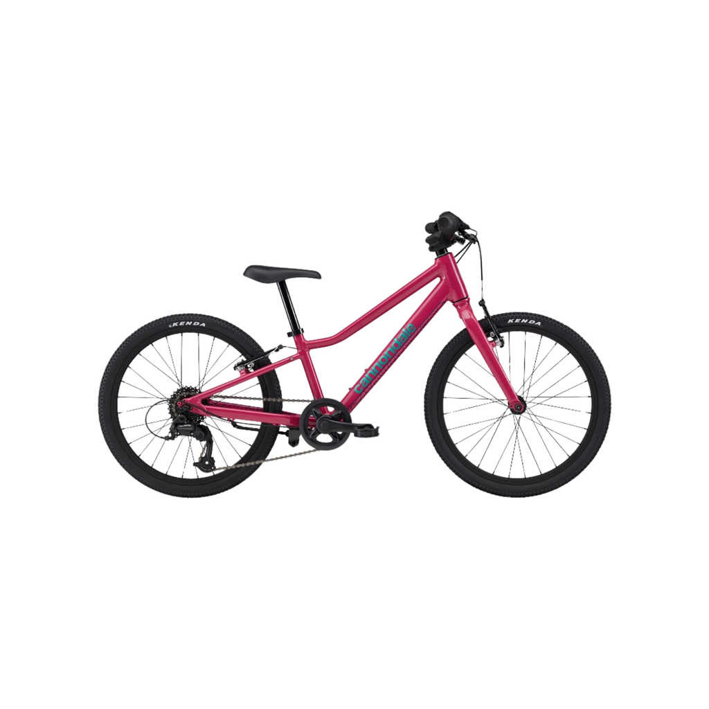 Cannondale 儿童 Quick 20 自行车 - 兰花色