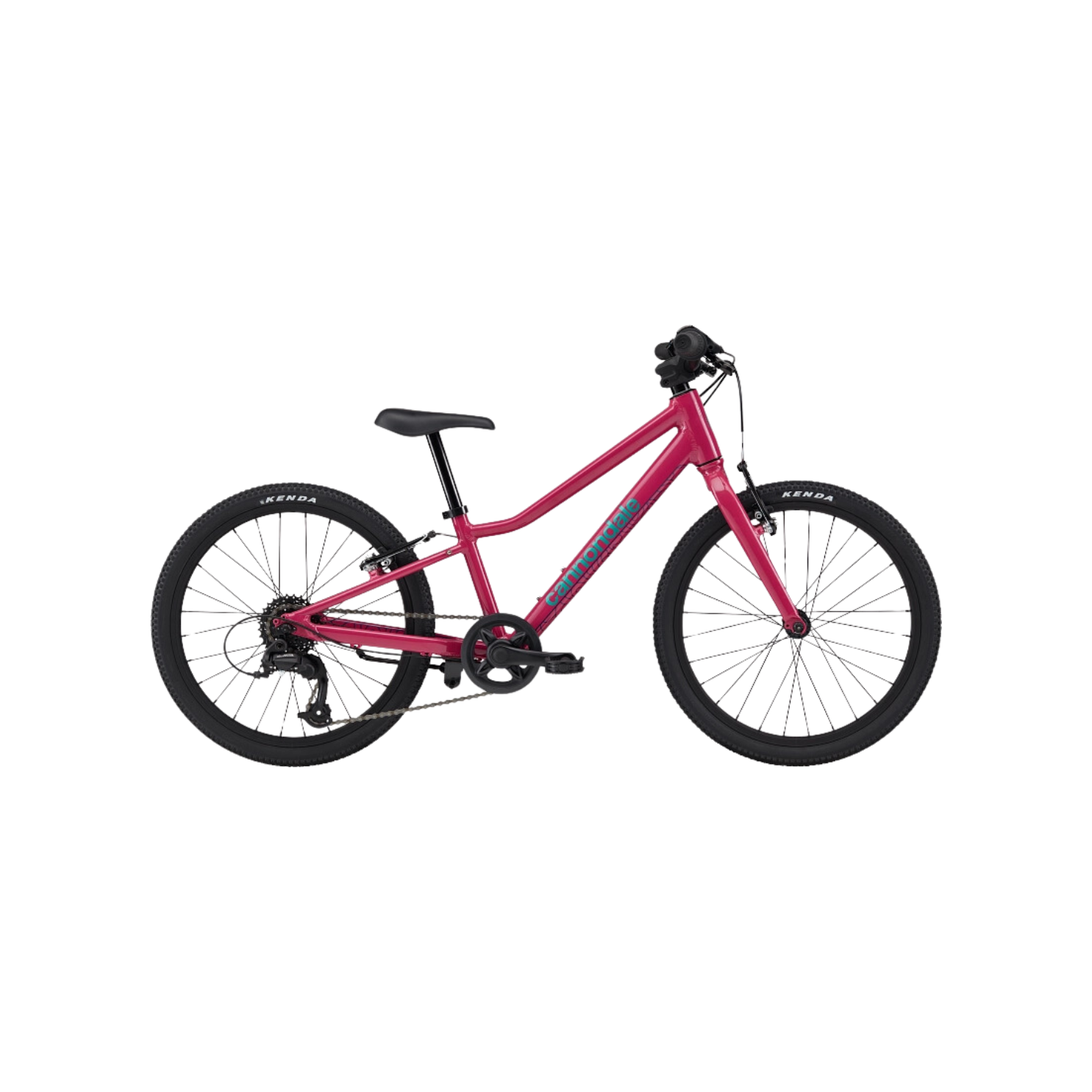 Cannondale 儿童 Quick 20 自行车 - 兰花色
