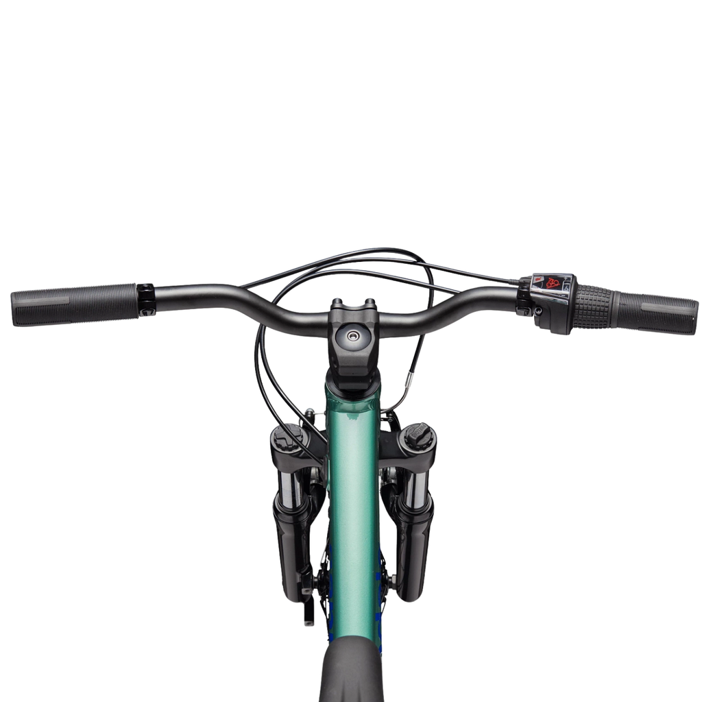 Cannondale Kids Trail 20 - Cactus Green