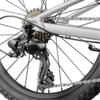 Cannondale Kids Trail 20 - Silver