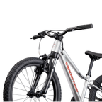 Cannondale Kids Trail 20 - Silver