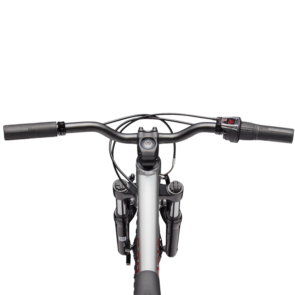Cannondale Kids Trail 20 - Silver