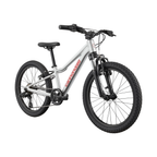 Cannondale Kids Trail 20 - Silver