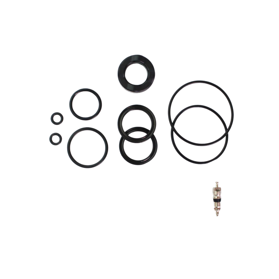 Cannondale Lefty Iso 100 Hour Seals Seal Kit