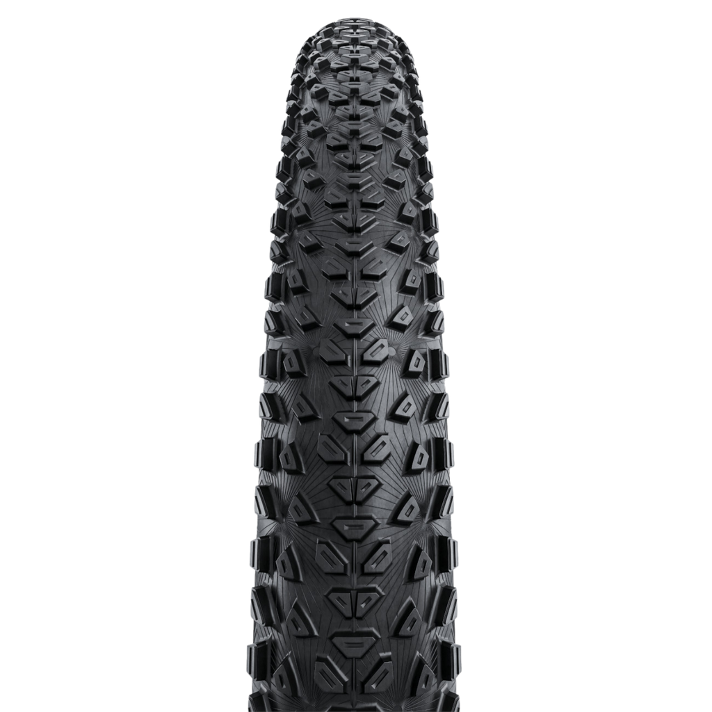 Continental Dubnital Race Rapid - Black