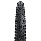 Continental Dubnital Race Rapid - Black