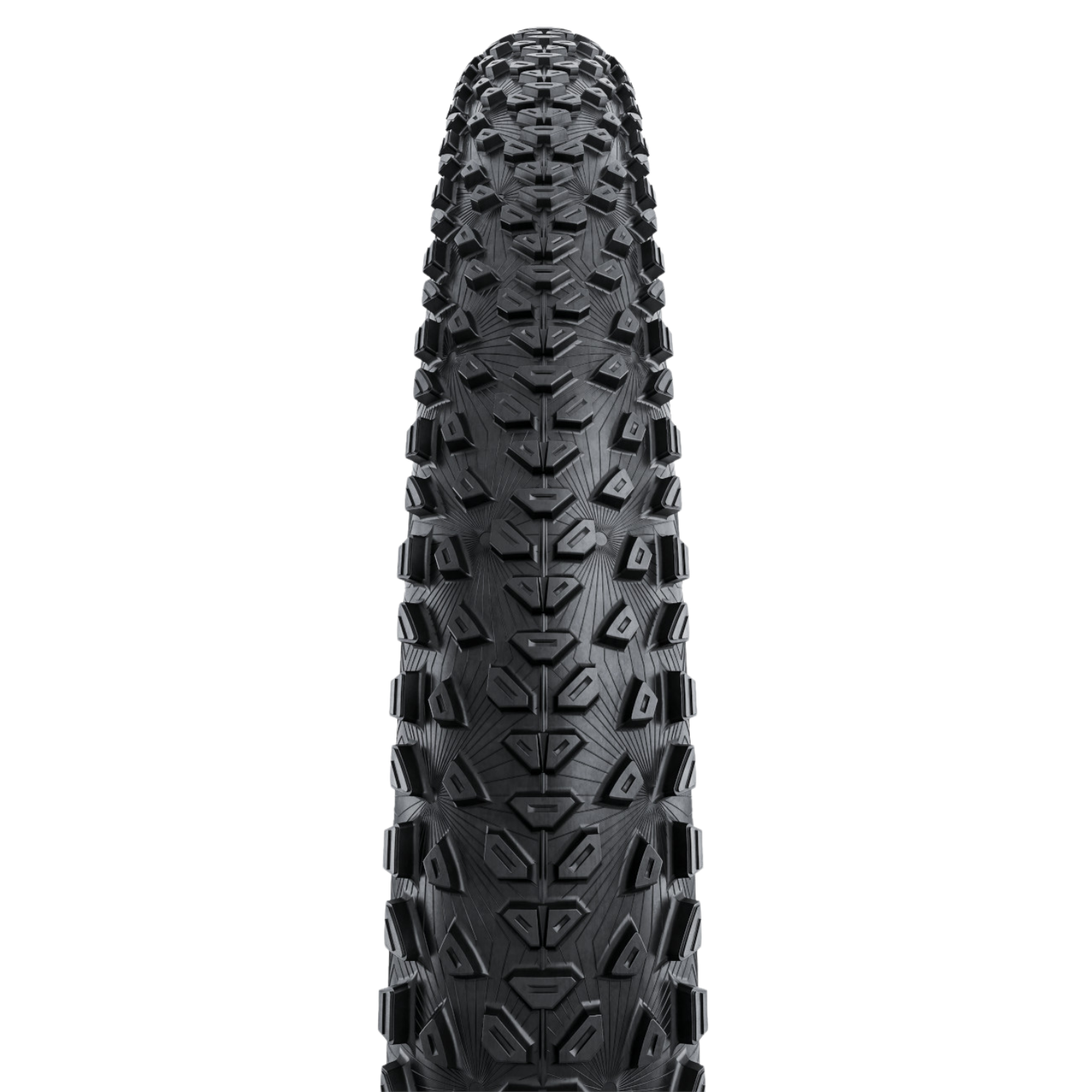 Continental Dubnital Race Rapid - Black