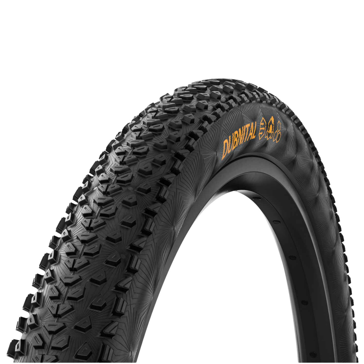 Continental Dubnital Race Rapid - Black