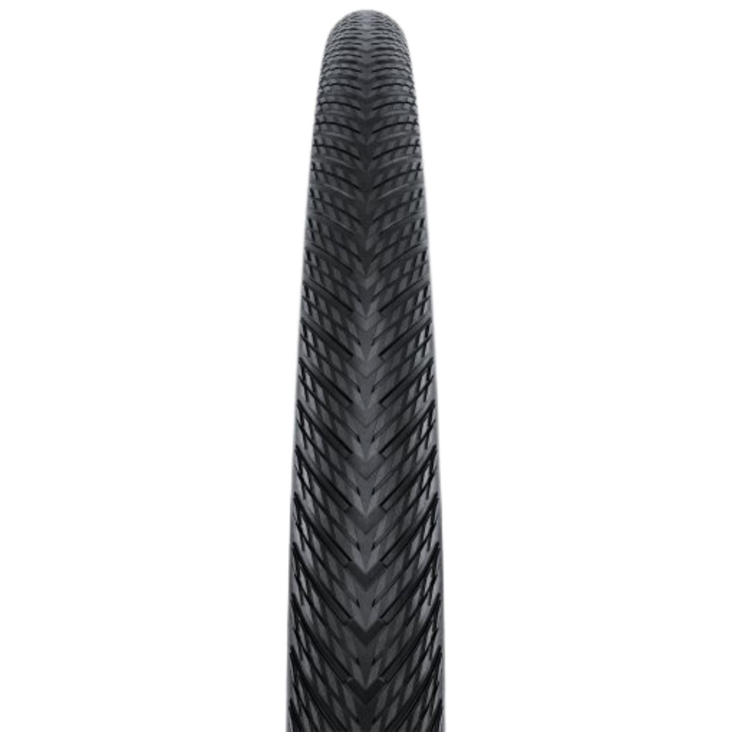 Continental Terra Competition Race Rapid - Black