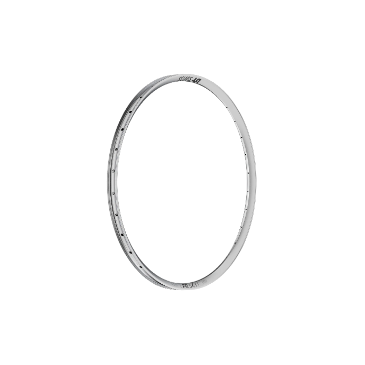 DT Swiss FR541 Alloy Rim Only - Silver