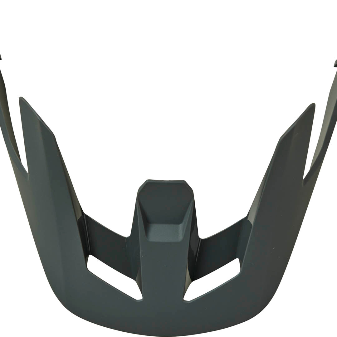 Fox SPEEDFRAME VISOR - Dark Shade