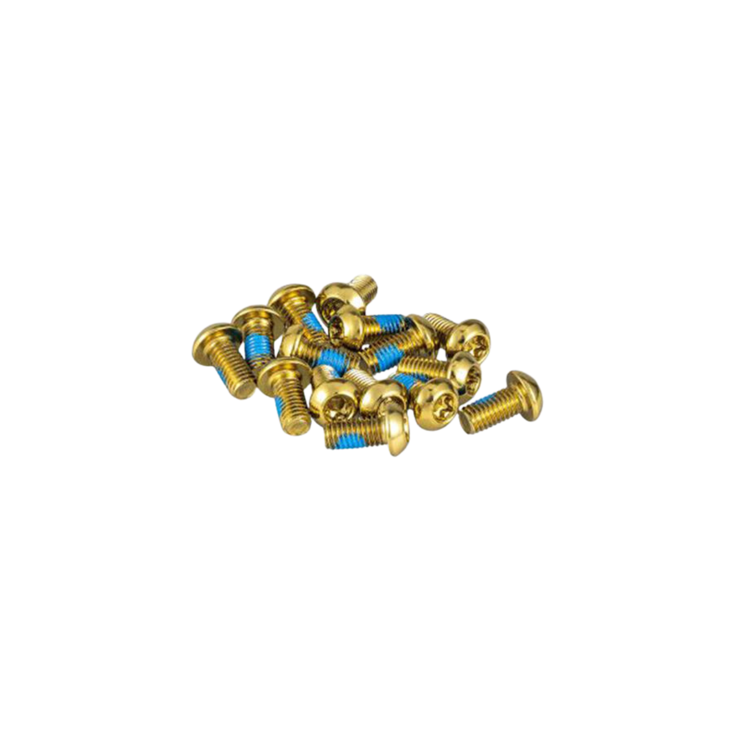 FUNN Disc Brake Rotor Bolt Kit (15-Piece) - Gold