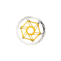 Formula 6-Bolt Rotor - Gold